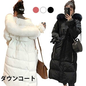 _ER[g fB[X _EWPbg t@[t O OR[g t[ht _E90% h h h΍ ~΍  ۉ ~AE^[ o^C v[g