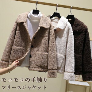 t[XWPbg fB[X RR WPbg ~ [gWPbg t[X WPbg g _btR[g  ʋ v[g