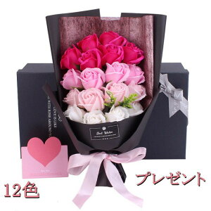 hV̓ \[vt[ ͂Ȃ v[g Iׂ 12F Əj aj 񎟉 Ǝ  \ ʉ Ӊ j ސE v[g ̓ o^C v[g