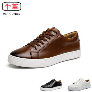 THOM WILLS v  Xj[J[ Y U[   {v rWlXV[Y ʋ 20 30 40 50 v[g ̓ o^C