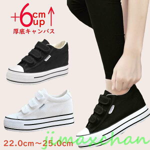 V  Xj[J[ fB[X LoX Xj[J[  6cm tbg [XAbv nC\[ ɂ y r ubN zCg gAbv