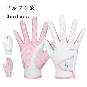 V t  Ă~ St p ~ pu U[ ؍ fB[X X|[cO[u puU[