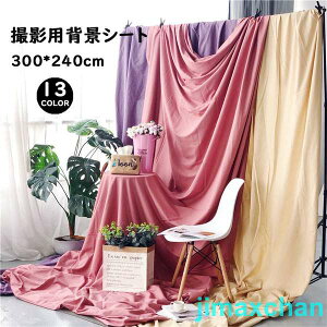 V G wiV[g Bepwiz TCY X^WIwiXN[V[g ʐ^ 300*240cm