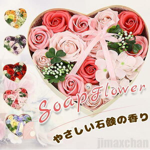 V ̓ \[vt[ V{t[ ΂̂ ̓ԃMtgt[{bNX aj L n[g^ o^C AEgbg