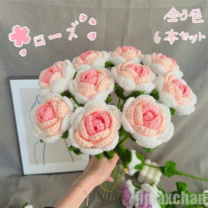 V [Y ԑ  i jbg  6{Zbg rose v[g Mtg LO ޏ v|[Y  o^Cf[ G a lbg