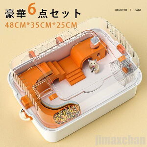 V 6_Zbg nX^[P[W p  P[W  nX^[P[W  pCvfUC nX^[nEX L 2K ^т₷ g ʋC  H