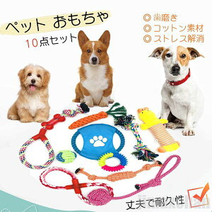 V  10_Zbg [v ނ pߋ ނ ybgp Rbg XgX Zbg v ϋv ^s XgX ϋv S