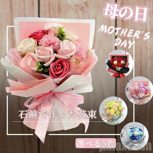 V Cy \[vt[ vU[uht[ V{t[ \[vt[Mtg ͂Ȃ NX}X ԑ u[P ΂̂ a  ސE LO e  