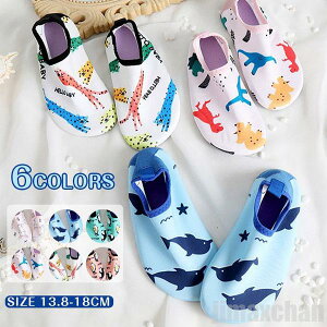 V Cy }V[Y r[`V[Y ̎q j̎q EH[^[V[Y C ANA }X|[c AEghA C LbY r[` j EFbgf q WjA C 