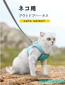 V L n[lX Ȃ  [h S3F bVLn[lX Lp lR Lbg ˂ 킢 o  U Oo ʉ@ ЊQ  Ȃ ybg  ȒPE S M LTCY