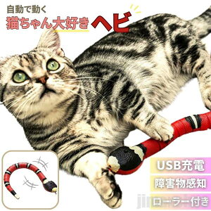 V Cy L  wr TSwr d X Ŏ ybg lV H ߋ Lp lR ObY L̂ ybgpi p^p^ y`y` kk  G L