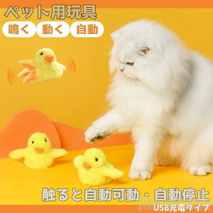 V Cy L  Ђ悱 H΂ d  ybg lV H ߋ Lp lR ObY L̂  ʂ ybgpi p^p^ y`y`   G