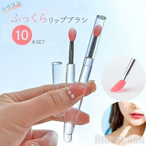 V Cy bvuV VR Ɩp ĝ 10{Zbg ӂuV sN fBX|[Uu CN CNAbvpi r[eB[c[  ACe X^