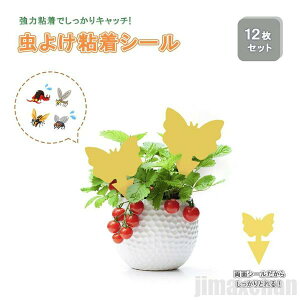 V Cy 悯 X^ S V[g SV[g 12Zbg XgO F  Ƃ ʃe[v ̓e[v Qߊl ߒV[g Q΍pi  ʔS S