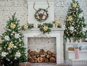 V Cy    NX}X 10_Zbg S[horVo[ c[  I[ig J[ |CZ`A   fR[V NX}XZbg vX`