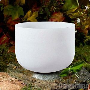 V Cy NX^{E {[ VMO{E  F u CeA tł t   g Y f1 炬 N[[V bNX q[ q