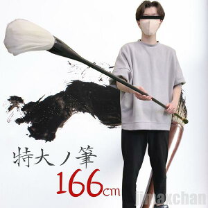 V Cy M  M  ptH[}Xp ptH[}X 166cm  n` 厚 Bl K i N G莆 G߂̂ a ѕM   BM Y