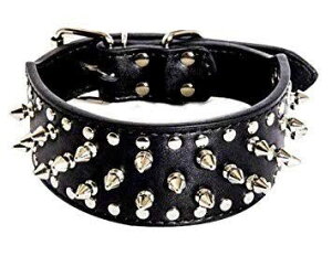 V Cy  p ubN X^bY gQgQ Ch XpCN `[J[ obN  xg ybg S U ^ ^   I [h 5