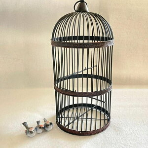 V Cy ybgpi  ACA o[h P[W 53cm Ot  U ubN fBXvC J S Be[W CeA o[hQ[W  EFf