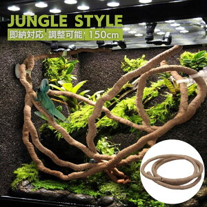 V Cy eE ঒ } ؂̃c 1.5cm IuWF u CeA  WO JG wr T\ COAi gJQ J  Ru  JugV