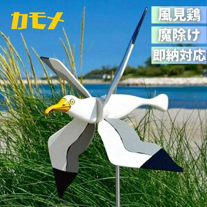 V Cy 悯 J  ] ˔   x_  ng \h  o[h h JX΍ h 炷悯 ƒ؉ _Ɨpi  x_ c 