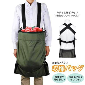 V Cy obO nobO n |pi JK[obO sbLO  io ʕ  Hו n t[c R؍̂ ʎn GvobO J^Cv ʎ