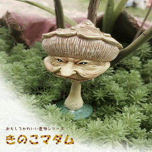 V Cy u LmR }_  AeB[N fUC IuWF CeA  l NVbN g IuWFNg _ k Be[W  p [bp