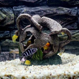 V Cy ANAE ꂽ  c{ IuWF  u CeA Mы  MщJ C W lIeg Obs[ G[tBbV sN Ai 