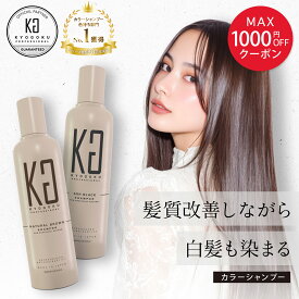 MAX1000円OFFクーポン【20%OFF/正規販売店】 KYOGOKU カラーシャンプー 白髪染め対応 200ml | カラシャン 白髪 シャンプー 美容室専売 ブラウン アッシュ ブラック 黒 白髪ケア 女性用 高濃度 髪ケア ヘアカラー カラーリング 色もち 簡単 保湿 日本製 KG 京極 正規品