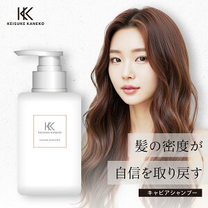 y30%OFF/K̔Xz KEISUKE KANEKO LrAVv[ 400g | Vv[ _[WPA nRV  ێ LrAGLXz GCWOPA  邨 PA z[PA T