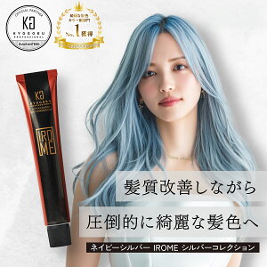 �y���K�̔��X�z KYOGOKU IROME �C���~�[ Silver Collection 80g | �w�A�J���[ �J���[�� �u���[�`�I���J���[ 1�� �J���[�����O �_���[�W�P�A �Z���t�J���[ ��h�� ��A���J�� �������� �� ������ ���e��