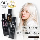 【25%OFF/正規販売店】 KYOGOKU カラーシャンプー 200ml | ムラシャン 紫シャンプー 美容室専売 ピンク 青 ブルー 紫 ブラウン カラシャン シャンプー ピンクシャンプー 洗浄力 髪ケア ヘアカラー カラーリング 透明感 保湿 日本製 KG 京極 正規品