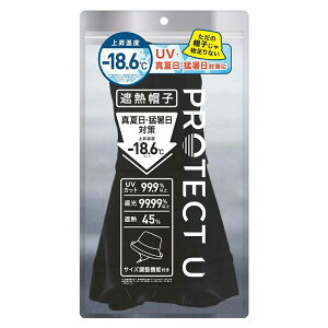 PROTECT U�i�v���e�N�g ���[�j�@�ՔM�X�q�@01�@�u���b�N