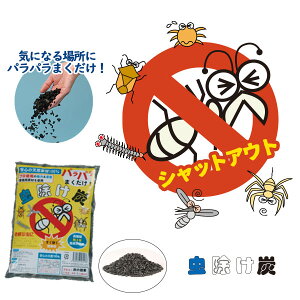 S̓VRf Y@SĎgVRfށ@qlybgɂSłBꏊANė~ꏊ pp T VA NA Jf JV 