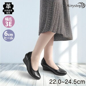 500~N[|zz}\|Cg10{@Airystep GA[Xebv fB[X oGV[Y L ₷ ~hq[ _炩 {v 059-6050@2025H~