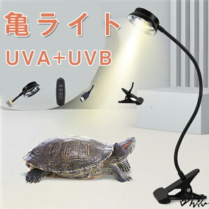 爬虫類 両生類用飼育アクセサリー クリップ スタンド ライト」の人気 