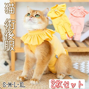 L p㕞 2Zbg Lp ybgpEFA ^ ^ sDp ی ی D r ~h~ IX Xp ȑf  ʋC Ƃł̉삪₷p㕞' ی