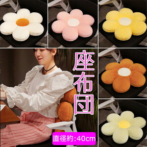 zc Ԍ^ NbV zc ֎qp wNbV ItBXNbV V[gNbV  wăNbV w lp Ɍ ӂӂ   lGKp 킢 