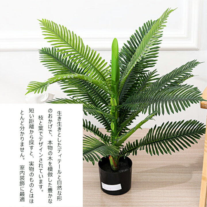 楽天市場】フェイクグリーン アレカヤシ 観覧植物 人工観葉樹 観葉植物 