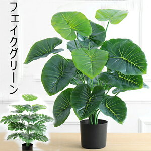 tFCNO[ Xe tFCNO[ NYC lHϗtA Xe tFCNO[ ^ A sv ͂Ȃ CeA ItBXp rO p Vzj 