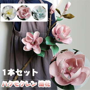 nNN  tFCNt[ 邢F ͂Ȃ Ԏt[ lHϗtA A[gt[ nNN t[AWg  CeA j rO 