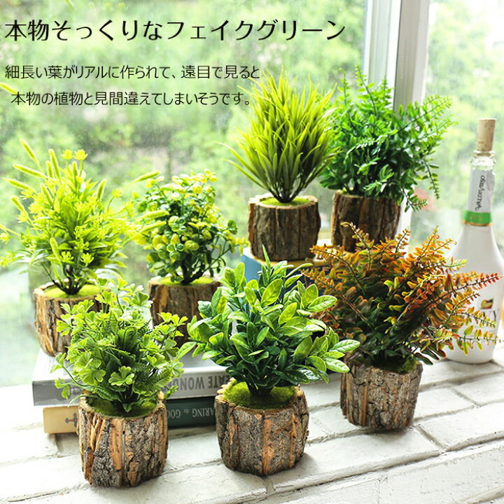 楽天市場】フェイクグリーン 観葉植物 ミニ 人工 盆栽 フェイク 小さい 
