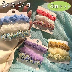 VV 3Zbg wAS  fB[X p wAANZT[ S ܂Ƃߔ  wAAW  킢 fC[ ig o ʋ ʊw wAANZT[