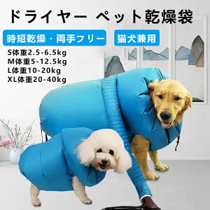 ybgp   ybgp hC[ oXObY ƃVv[   L hC[ ybgpi ybgObY  C Z yX  ʋC y L  p P[X 