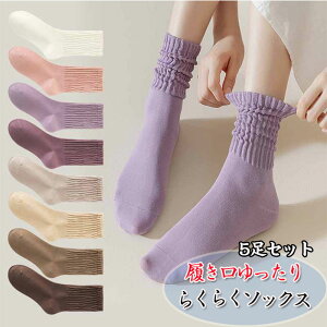 C fB[X tďH  N[\bNX 5Zbg   fB[X  Ȃ  \bNX C wlp H~ 36-41cm n ʋ ʊw AEghA 