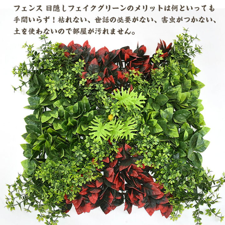 楽天市場】ウォールグリーン 壁掛け 50×50cm 2枚セット 壁面グリーン 