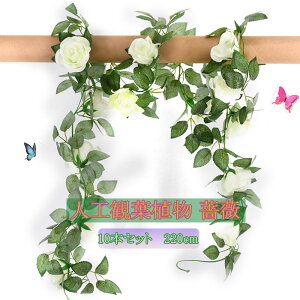 10{Zbg 220cm hCԙ KN Ǌ| ϗtԐA vU[uhԙ ȃoԑ sN lHϗtA aj Ԃт JXjԍ ։ԃO[A  o 
