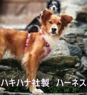 ハキハナハーネス【H】小型犬・中型犬・大型犬 【イタリア・ハキハナ社正規品　5年保証】【サイズ交換可…