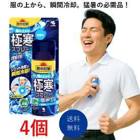 熱中対策 服の上から極寒スプレー 無香料 ミニ 93ml 4個 暑さ対策グッズ 最強 グッズ 工事現場 ヘルメット 衣類 スプレー 洋服 汗臭 体臭 加齢臭 キャンプ フェス 熱帯夜 対策グッズ 農作業 涼しい 靴 長靴 スポーツ ゴルフ 登山 作業着 ひんやり 冷やし 屋外
