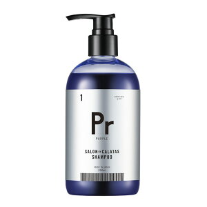 ToC J^X Pr Vv[ g[gg 350g Zbg J[PA _[WPA wAJ[ Tꔄ eꔄ wAPA NX}X Mtg v[g